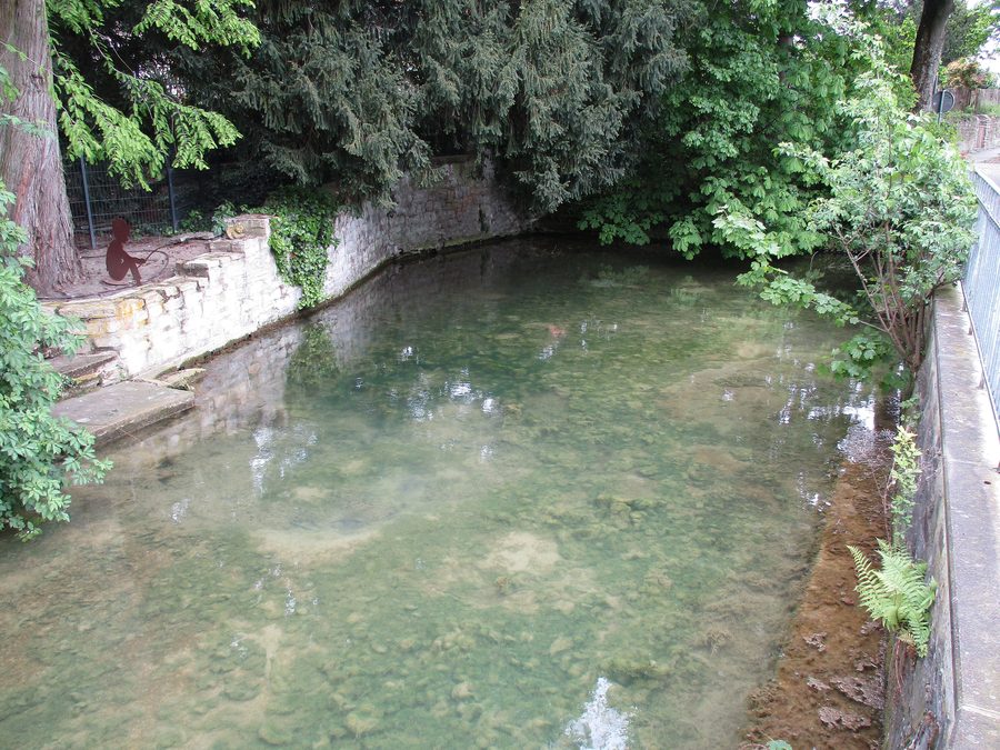 Quelle des Geseker Bachs am Rosenteich in Geseke