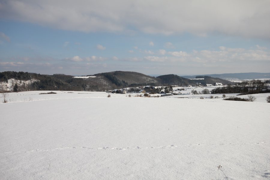 Winterlandschaft mit Wiesen und Gehöften im Medebacher Land