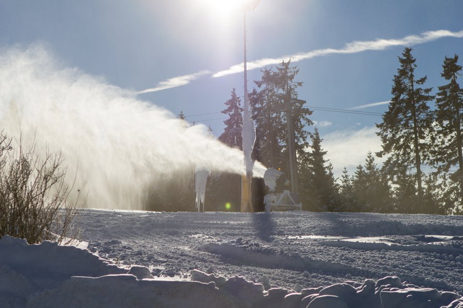 Schneekanone an einem bewaldeten Skihang
