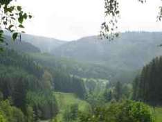 Blick in den Naturpark Ebbegebirge
