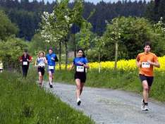 Rothaarsteiglauf