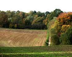 Herbst im Sauerland