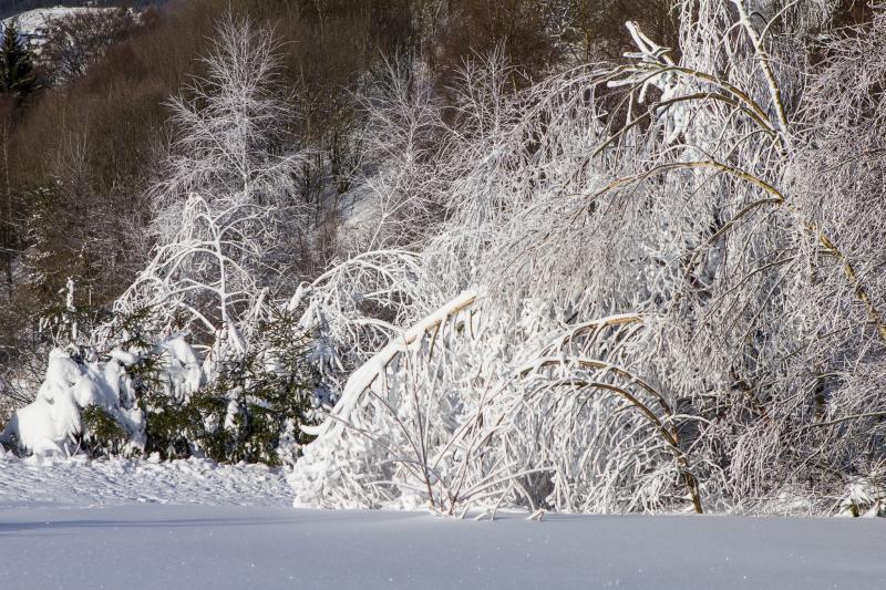 Wintersport im Sauerland