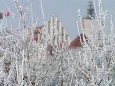 Schnee im Sauerland