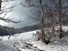 Schnee im Sauerland