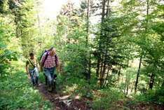 Wanderer im Sauerland