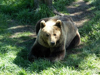 Wild- und Freizeitpark Willingen