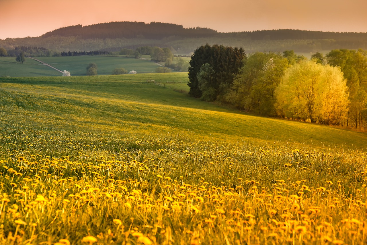 Sauerland