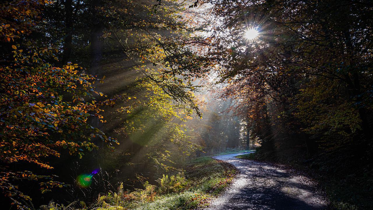 Sauerländer Waldweg