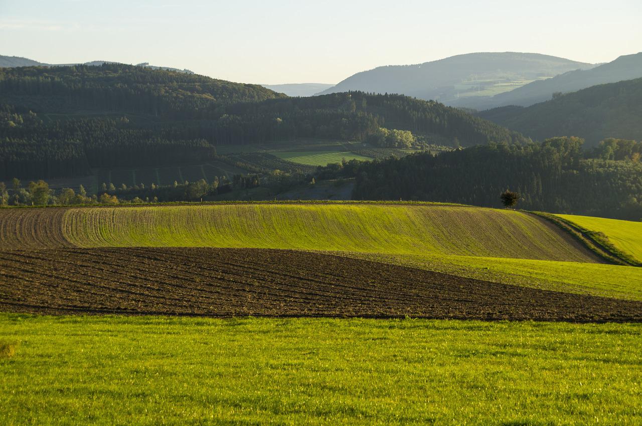 Sauerland