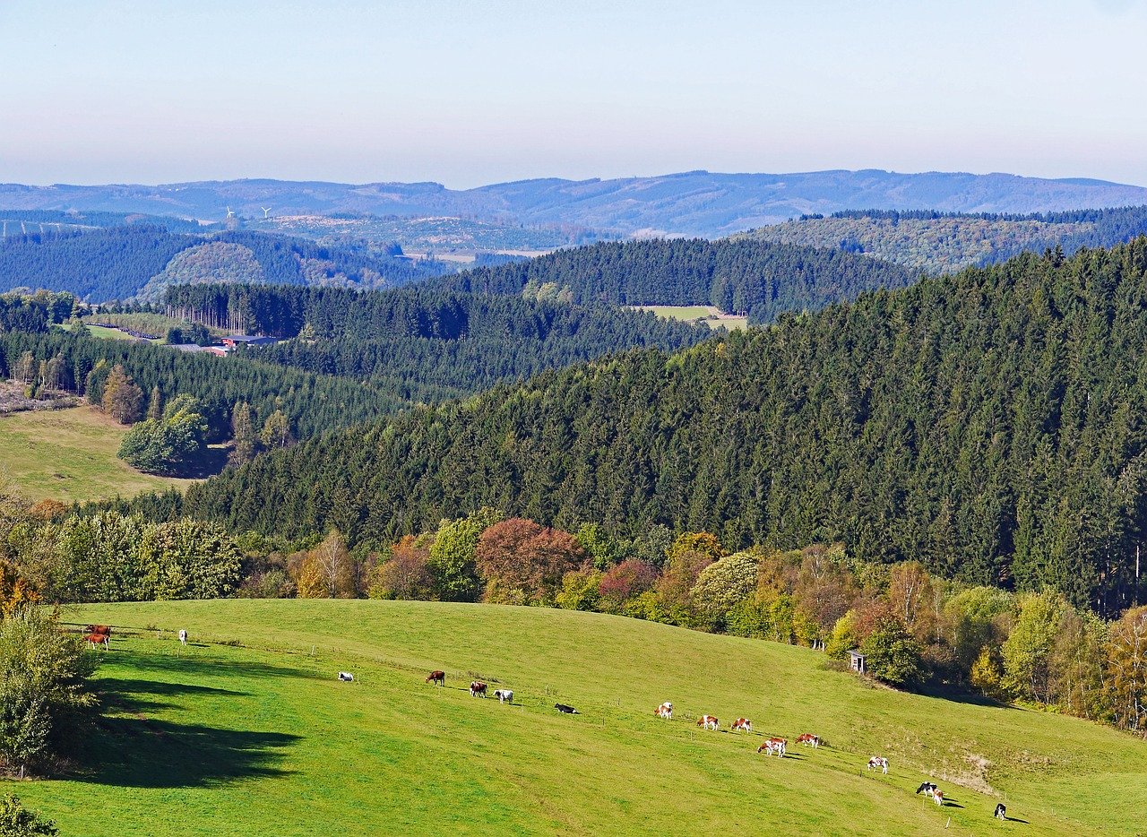 Naturpark Homert: Blick auf den Sorpesee