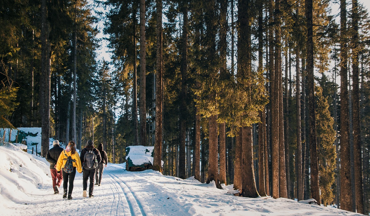 Schnee Wandern