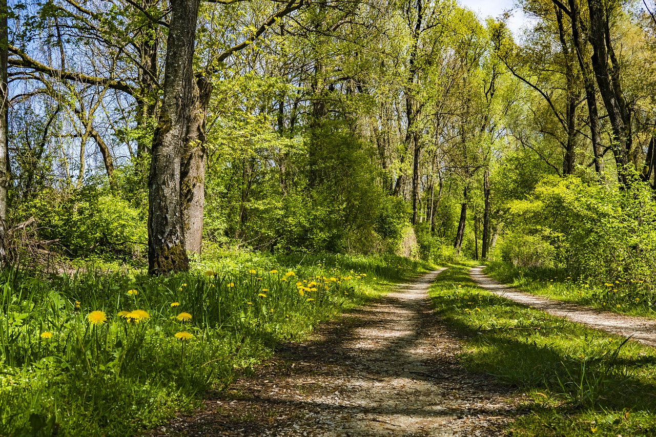 Wanderer in Medebach