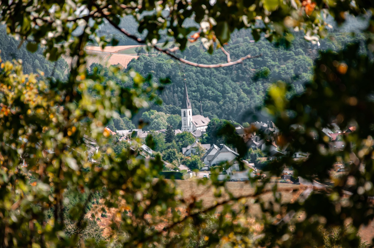 Dorf in Willingen