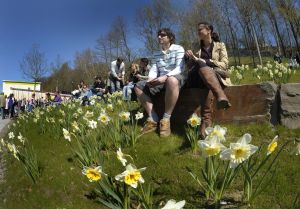 NRW Landesgartenschau im Sauerland